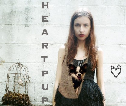 HeartPup Shark Tank Update – Shark Tank Season 6