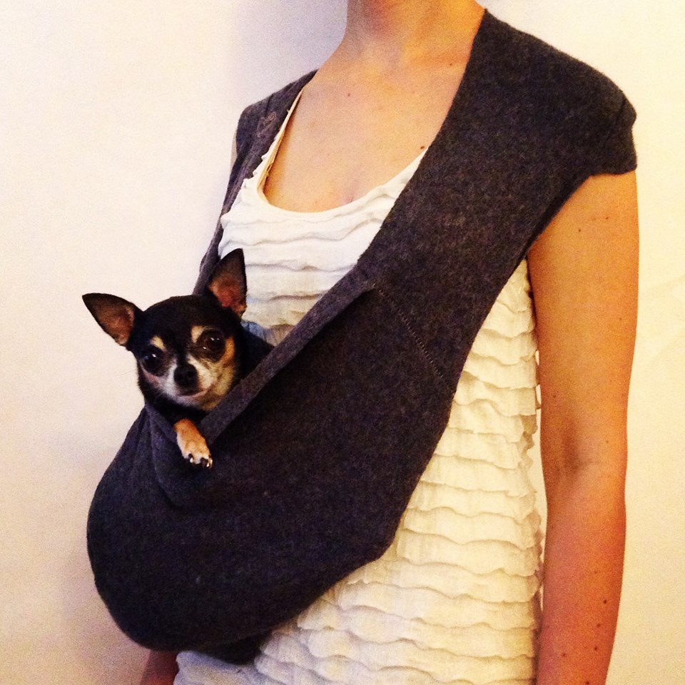 heart pup dog carrier
