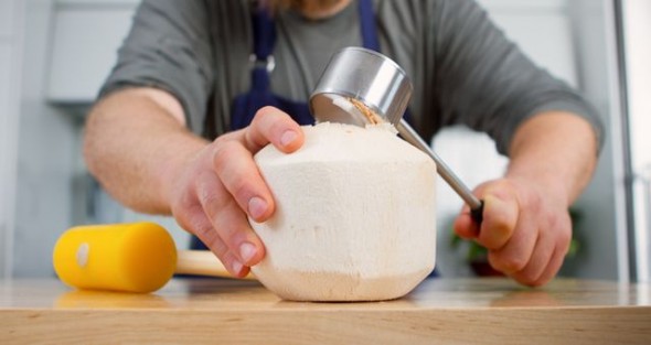 Coco Jack Shark Tank Update – Shark Tank Season 6