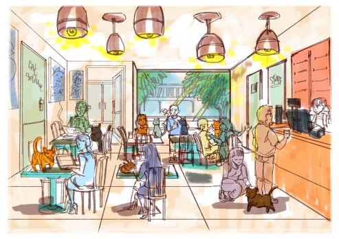 Gato Cafe Shark Tank Update – Shark Tank Season 6