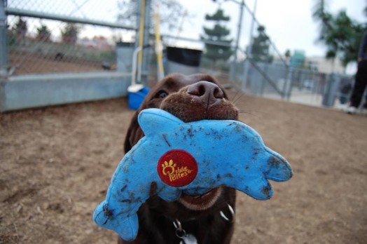 PrideBites Shark Tank Update – Shark Tank Season 7