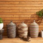 Expedition Sub Sahara