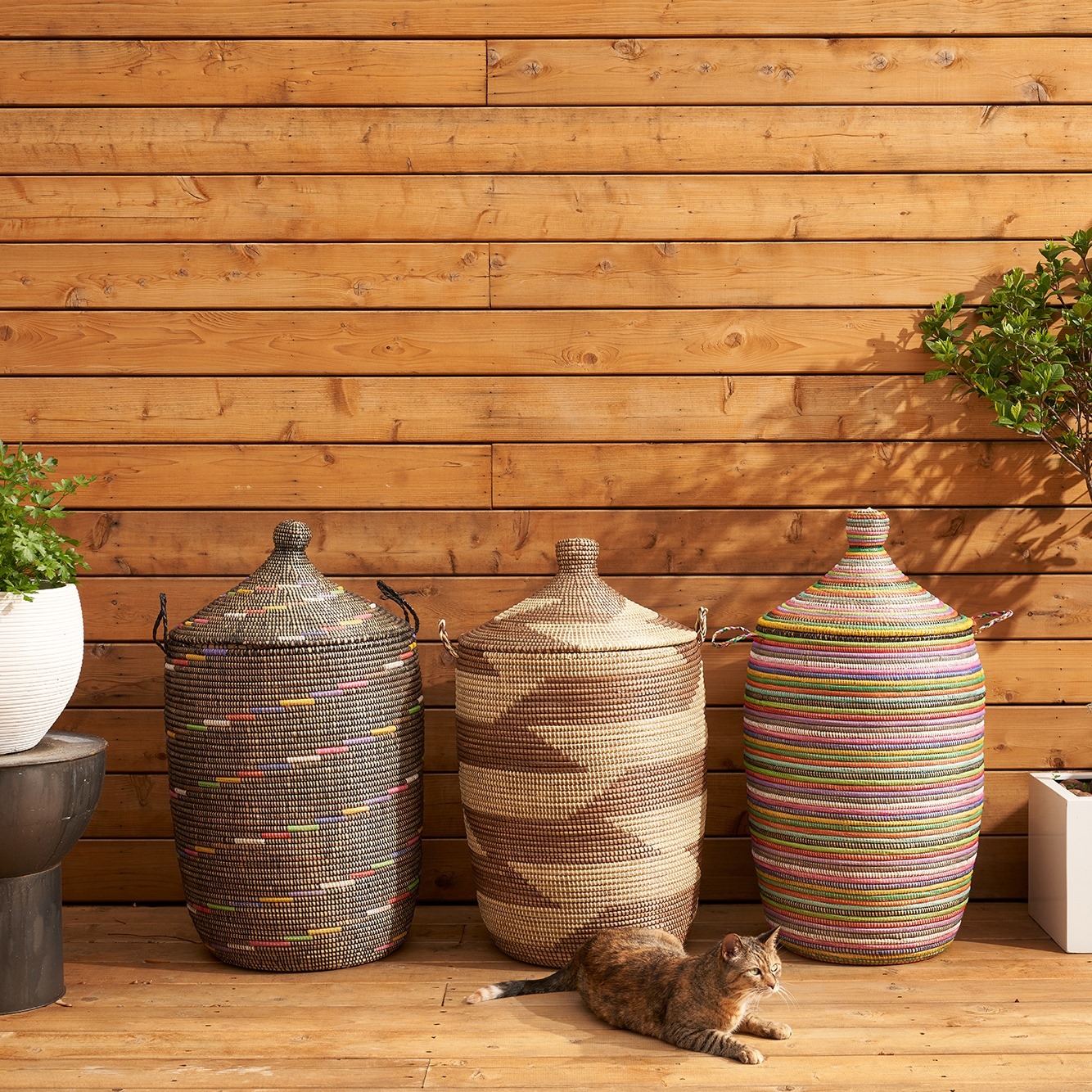 Expedition Sub Sahara